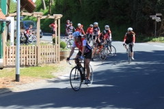 Muttertag 15 (5)